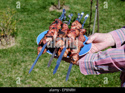 Spiedini cucinati alla griglia su una piastra. Pic nic sul weekend. Foto Stock