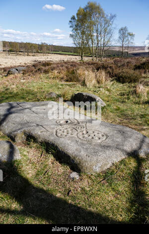 Replica boulder con il neolitico o età del Bronzo 'cup e ring' marcature, Gardom's Edge, Parco Nazionale di Peak District, Derbyshire Foto Stock