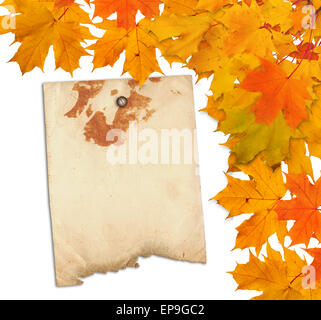 Vecchia carta grunge con autunno ramo di acero lascia sullo sfondo bianco isolato Foto Stock