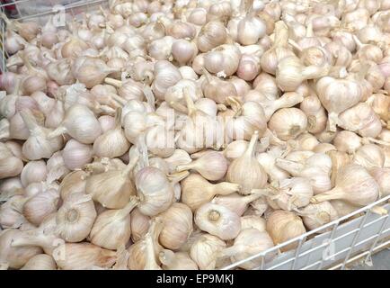 Aglio bianco per la vendita al mercato Foto Stock