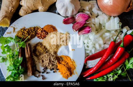 Ingredienti freschi e le spezie di cui sei pronto per fare un curry. Foto Stock