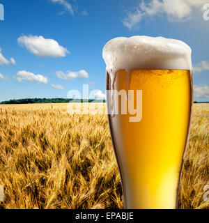 Bicchiere di birra contro il campo di grano e cielo blu Foto Stock