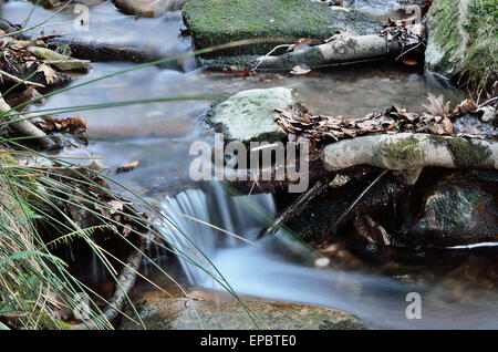 Close-up di un flusso a lungo velocità otturatore Foto Stock