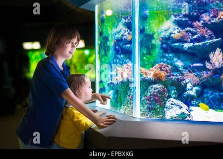 Felice di ridere ragazzo e la sua adorabile sorella toddler, grazioso piccolo ragazza ricci guardare dei pesci in acquario tropicale con barriera corallina Foto Stock