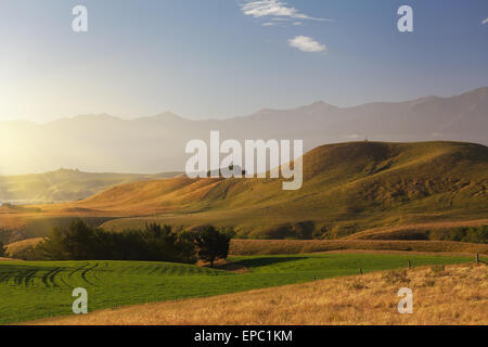 Tramonto sulla penisola di Kaikoura marciapiede, Canterbury, Isola del Sud, Nuova Zelanda Foto Stock