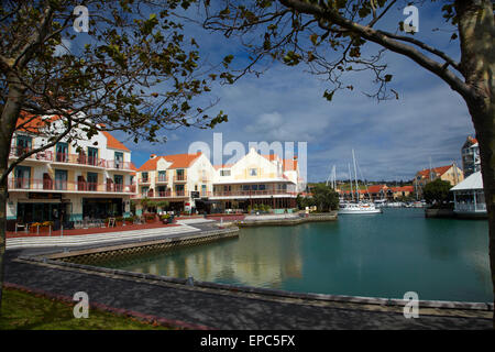 Gulf Harbour, Whangaparaoa penisola a nord di Auckland, Isola del nord, Nuova Zelanda Foto Stock