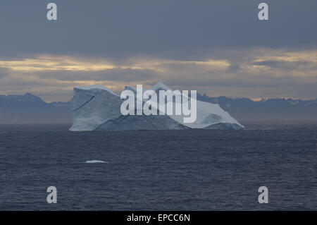 Ice Float al largo della costa groenlandese, Ice Float, Iceberg al largo della costa groenlandese, Groenlandia, Nord, Atlantico, Oceano, Iceberg, Ice-floatilluminazione naturale, Landscap naturale Foto Stock