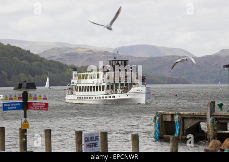 Lago di Windermere Cumbria XVI Maggio 2015 UK Meteo freddo giorno di vento sul lago di Windermere per crociere sul lago di Windermere .il sistema di cottura a vapore il cigno (costruito 1938) a Bowness sul lago Wimdermere(Allenatore Nazionale Tourism Awards 2015 'Fiume e la navigazione operatore crocieristico ' vincitore: Windermere crociere sul lago ) Credito: Gordon Shoosmith/Alamy Live News Foto Stock