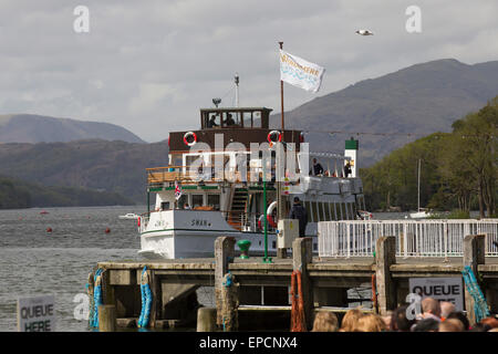 Lago di Windermere Cumbria XVI Maggio 2015 UK Meteo freddo giorno di vento sul lago di Windermere per crociere sul lago di Windermere .il sistema di cottura a vapore il cigno (costruito 1938) a Bowness sul lago Wimdermere(Allenatore Nazionale Tourism Awards 2015 'Fiume e la navigazione operatore crocieristico ' vincitore: Windermere crociere sul lago ) Credito: Gordon Shoosmith/Alamy Live News Foto Stock