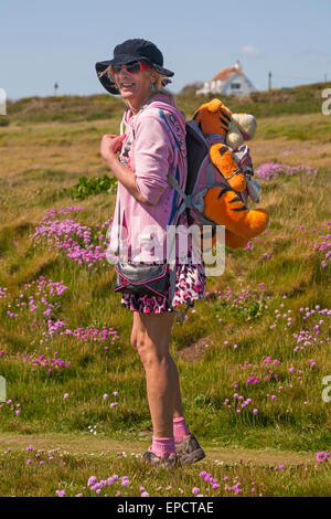 La baia di acqua dolce, Isle of Wight, Hampshire, Regno Unito. 16 maggio 2015. Regno Unito Meteo: calda giornata di sole a Freshwater Bay, Isle of Wight, Hampshire, Regno Unito. Tigger viene preso per una passeggiata a credito: Carolyn Jenkins/Alamy Live News Foto Stock