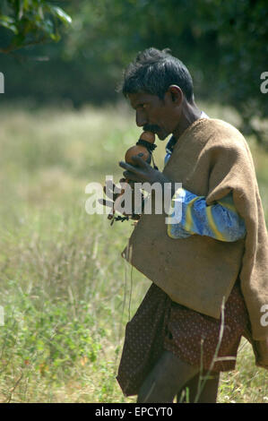 TIRUNELVELI, Tamil Nadu, India, febbraio 28, 2009: uomo indiano soffia fischiare per attirare i serpenti su 28 Febbraio, 2009 Foto Stock