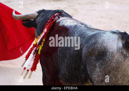 Tradizionale corrida - La corrida in Spagna. Foto Stock