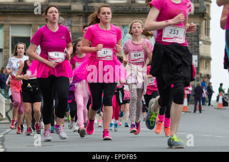 Aberystwyth, Wales, Regno Unito. Il 17 maggio 2015. 1900 ragazze e donne di tutte le età di prendere parte all'annuale ricerca cancro carità fund raising corsa per la vita divertente correre su 5k e 10k corsi intorno a Aberystwyth. Foto © Credito: keith morris / Alamy Live News Foto Stock