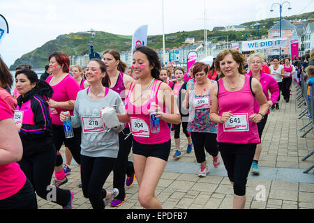 Aberystwyth, Wales, Regno Unito. Il 17 maggio 2015. 1900 ragazze e donne di tutte le età di prendere parte all'annuale ricerca cancro carità fund raising corsa per la vita divertente correre su 5k e 10k corsi intorno a Aberystwyth. Foto © Credito: keith morris / Alamy Live News Foto Stock