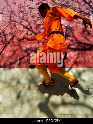 (150517) -- QUANZHOU, 17 maggio 2015 (Xinhua) -- Un monaco le pratiche di arte marziale a Quanzhou Tempio Shaolin in Quanzhou City, a sud-est della Cina di provincia del Fujian, 13 maggio 2015. Situato nella zona est della Montagna di Qingyuan di Quanzhou, il Quanzhou Tempio Shaolin, chiamato anche il Sud Il Tempio Shaolin, è il luogo di nascita del Sud Shaolin arte marziale, che ha diffuso a Taiwan, Hong Kong e Macao e anche il Sud Est asiatico dal Ming (1368-1644) e Qing (1644-1911). È anche chiamato congiuntamente "Sud e Nord " Shaolin Songshan con il Tempio Shaolin in Cina centrale della Provincia di Henan. Zen Foto Stock