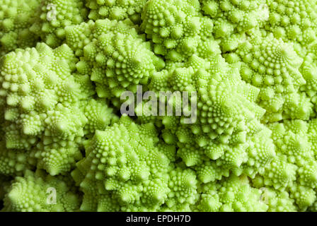 Texture frattale di Romanescu broccoli Foto Stock
