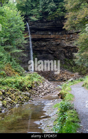 Regno Unito, Inghilterra, Yorkshire. Forza Hardraw, nella cicatrice Hardraw, il più lungo funzionamento a singola gocciolina cascata in Inghilterra. Foto Stock