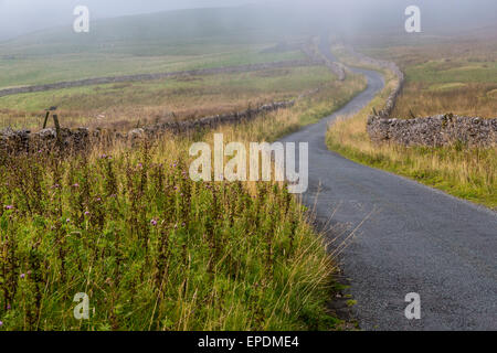 Regno Unito, Inghilterra. Yorkshire Dales carreggiata in autunno la nebbia. Foto Stock