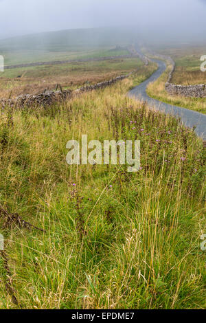 Regno Unito, Inghilterra. Yorkshire Dales carreggiata in autunno la nebbia. Foto Stock