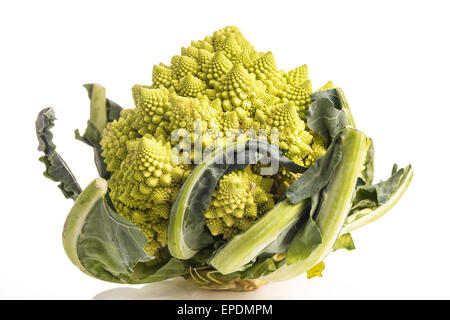 Romanesco broccoli e cavolfiore isolato su bianco Foto Stock