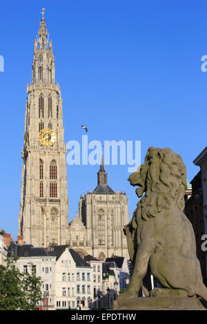 La Cattedrale di Nostra Signora nel centro storico di Antwerp, Belgio Foto Stock