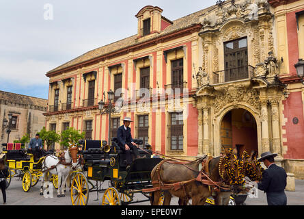 Lo sposo prendersi cura dei cavalli e muli carrelli di disegno presso il Palazzo Arcivescovile Siviglia Spagna Foto Stock