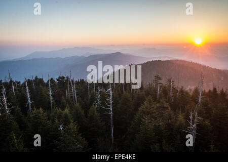 Il sole illumina il mattino cielo Clingman vicino Duomo. Foto Stock