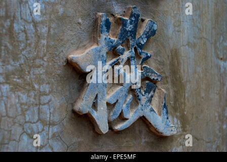 Script di cinese presso la tomba e giardini di Tu Duc imperatore in tinta, Vietnam Foto Stock