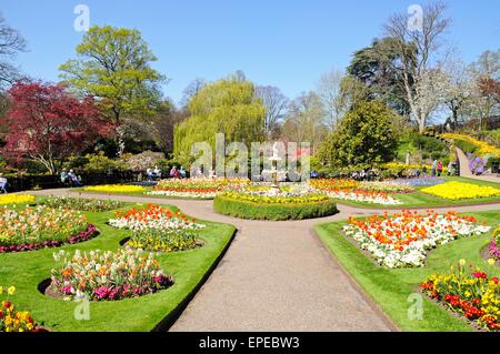 Vista del Dingle giardino formale nel Parco di cava durante la primavera, Shrewsbury, Shropshire, Inghilterra, Regno Unito, Europa occidentale. Foto Stock