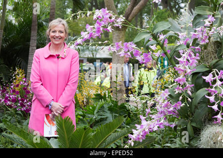 Londra, Regno Unito. Il 18 maggio 2015. BBC weather presenter Carol Kirkwood sorrisi come le prime gocce di pioggia sulla terra Chelsea Flower Show. Giardinieri e orticoltori sono occupati di finalizzare i loro display e mostrano giardini presso il 2015 Chelsea Flower Show. La mostra è aperta al pubblico dal 19 al 23 maggio 2015. Credito: Nick Savage/Alamy Live News Foto Stock