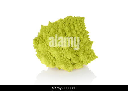 Romanesco broccoli isolati su sfondo bianco. Vegetale sano di mangiare. Foto Stock