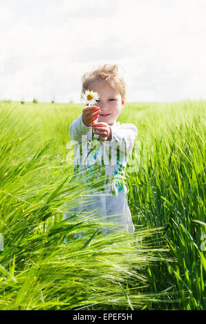 Bellissima bambina fiore di contenimento in campo verde sulla soleggiata giornata di primavera. La primavera e l'estate concetto. Foto Stock