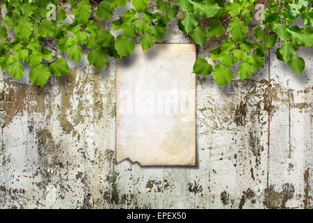 Vecchia carta annuncio sul rovinato muro di pietra con un luminoso verde fogliame Foto Stock