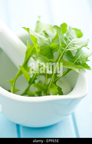 Le fresche foglie di rucola in malta Foto Stock