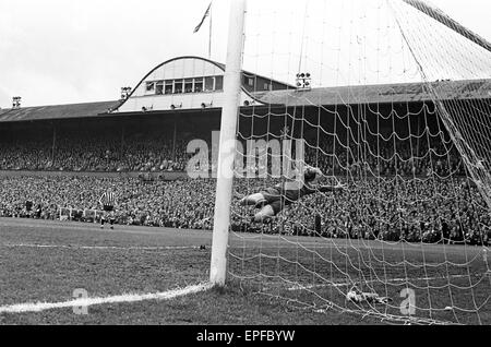 Newcastle Utd V Manchester City 11 maggio 1968 League Division una partita presso il St James Park palla nel retro del net. Punteggio finale Newcastle 3 Manchester City 4 Foto Stock