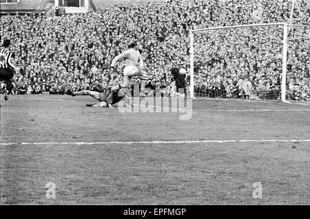 Newcastle Utd V Manchester City 11 maggio 1968 League Division una partita presso il St James Park Francesco Lee punteggi obiettivo punteggio finale Newcastle 3 Manchester City 4 Foto Stock