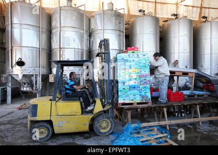 Lavoratori nella cantina di Cremisan gestito e gestito dal salesiano don Bosco Congregazione. Beit Jala vicino a Betlemme, Palestina Foto Stock