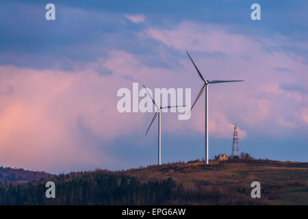 Turbina eolica su sfondo al tramonto Foto Stock