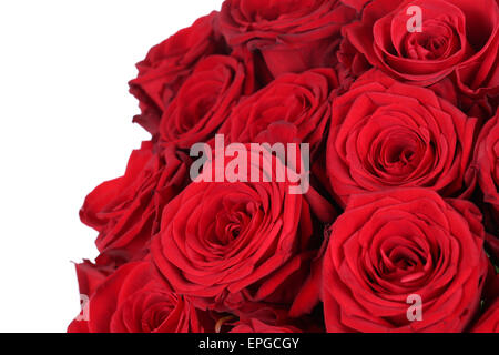 Strauß rote Rosen zum Valentinstag oder Muttertag Foto Stock