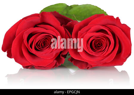 Rote Rosen zum Valentinstag Muttertag, oder Geburtstag Foto Stock