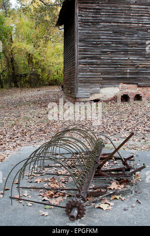 Andanatore Foto Stock