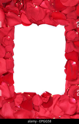Rahmen aus Rosen Blumen zum Valentinstag Muttertag oder mit Textfreiraum Foto Stock