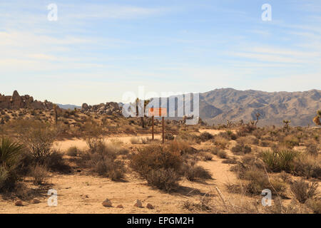 Una fotografia di una sezione di sede stradale noto come motore di geologia Tour a Joshua Tree National Park, in California. Foto Stock