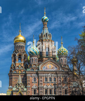 Chiesa del Salvatore sul sangue, San Pietroburgo, Russia Foto Stock
