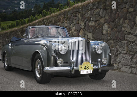 Alto Adige classic cars 2014 Bentley S1 2 Foto Stock