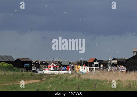 Gabbiani in un cielo tempestoso su barche da pesca nel porto, Walberswick Inghilterra Suffolk REGNO UNITO Foto Stock