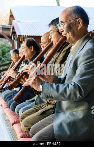 Giappone, Nishinomiya, Santuario di Koshiki-wa. Fila di anziani, uomini anziani in giacca inginocchiati su un palco che suona flauto recital per le celebrazioni del nuovo anno. Foto Stock