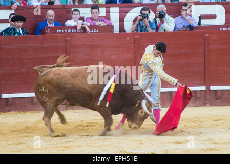 JEREZ DE LA FRONTERA, Spagna - 16 Maggio: torero Cayetano Rivera durante la corrida tenutasi presso la fiera di Jerez de la Frotera. Foto Stock