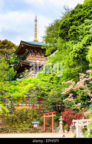 La pagoda vermiglio, a metà nascosta da alberi, con porta torii di fronte, durante la primavera, al tempio di Suma-Dera a Suma in Giappone. Foto Stock