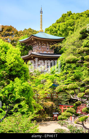 La pagoda vermiglio, a metà nascosta da alberi, con porta torii di fronte, durante la primavera, al tempio di Suma-Dera a Suma in Giappone. Foto Stock